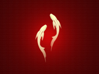 Red background white fish side - lostfish free wallpaper
