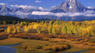 Mountain river forest bridge city - ansel adams free wallpaper