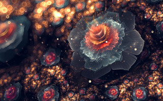 Flower water bubbles light background - the background and a blurry background free wallpaper
