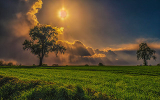 Autumn field trees sun clouds - cloud and sun rays free wallpaper