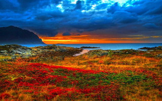 Red flowers mountain cloudy sky - mystical free wallpaper