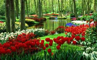 Garden pond flowers trees people - a few person free wallpaper
