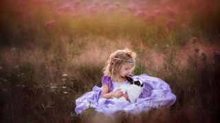 Little girl purple dress dog - a little girl free wallpaper