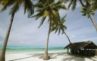 Beach hut palm trees blue 3 - a hut free wallpaper
