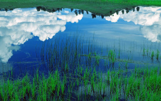 Large water surrounded by nature - a small island free wallpaper
