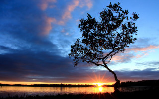 Sunset lake tree silhouette clouds - sunrise free wallpaper