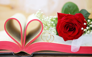 Romantic rose heart ring flower - romantic free wallpaper