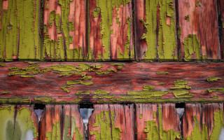 Wood green peeling decay urban - paint free wallpaper