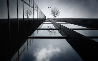 Tree reflection building sky cloud - a surrealist painting free wallpaper