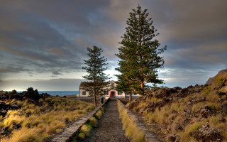 Hill side church path trees - a hill side free wallpaper
