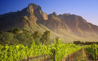 Vineyard mountains blue sky clouds - a blue sky in the foreground free wallpaper