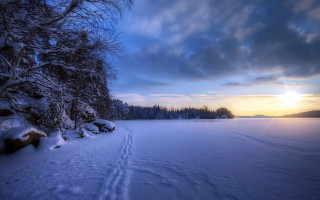 Snowy landscape tree water sunset - a sun free wallpaper