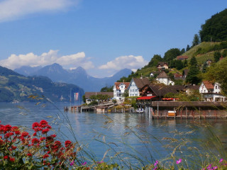 Lake shore houses mountains flowers - heidelberg school free wallpaper