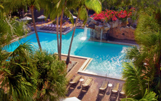 Pool palm trees waterfall slide 2 - lush free wallpaper for desktop