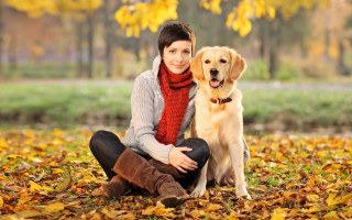 Woman leaves dog tree autumn - elke vogelsang free wallpaper