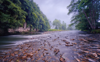 River forest rocks cloudy day - a lush green forest free wallpaper
