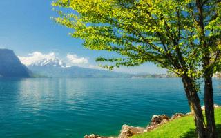 Tree water mountains sky landscape - naturalism free wallpaper