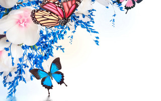 Butterflies flower reflection blue yellow - felipe seade free wallpaper