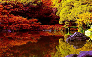 Pond bridge rock autumn leaves - a rock in the foreground free wallpaper
