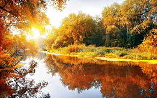 River trees sunlight autumn leaves - alexander brook free wallpaper