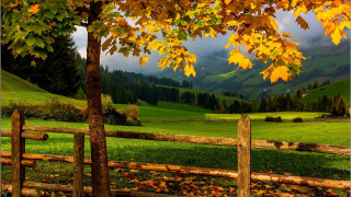Fence tree greenfield mountains autumn - a tree in the foreground free wallpaper