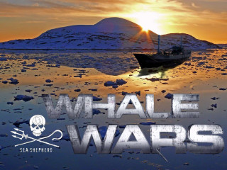 Boat mountain ice sunset whalewars - ice free wallpaper
