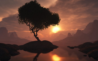 Tree rock water sunset reflection - a reflection of the sun free wallpaper