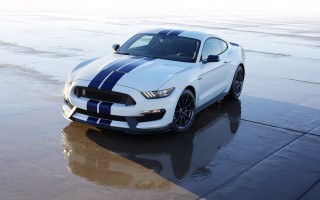 White mustang blue stripes parking - a white mustang free wallpaper
