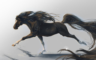 Horse longhair running field snow - a digital painting free wallpaper