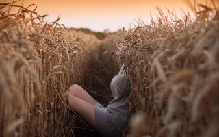 Woman wheat field sky ears - the sky free wallpaper