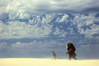Man desert animal cloudy walking - cloudy free wallpaper