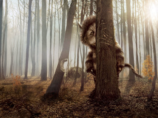 Stuffed animal climbing tree forest 2 - the background and a sunbeam free wallpaper