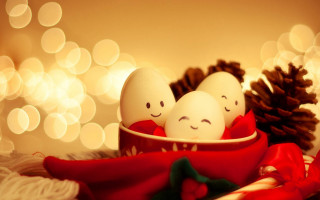 Three eggs red bowl pine - the side of the bowl free wallpaper