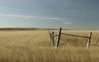Wooden fence tall grass sky - donald judd free wallpaper