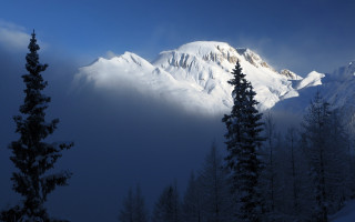Snow mountain forest bush clouds - volumetric free wallpaper
