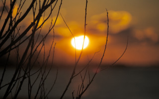 Sunset branches water clouds moon - a few branch free wallpaper