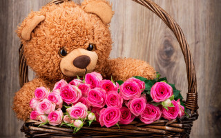 Teddy bear basket roses wood - a wooden fence free wallpaper