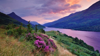 Scenic river mountains sunset pink - impressionist free wallpaper