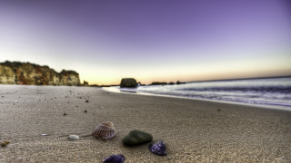 Beach rocks shells cliff purple - beach free wallpaper