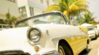 White car palm street photorealism - the side of a road next free wallpaper