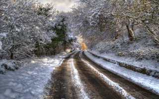 Snowy road trees bushes cloudy - both side of it free wallpaper