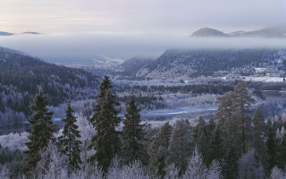 Snowy mountain lake forest bush - a foggy sky in the background free wallpaper