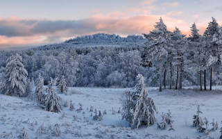 Snowy landscape mountain pink sky - andor basch free wallpaper