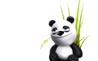 Panda bamboo plant blueeyes smile - feng zhu free wallpaper