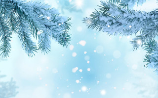 Blue christmas snow pine fireworks - an gyeon free wallpaper for desktop