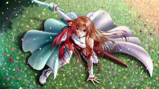 Girl sword flower field confetti - a sword free wallpaper for desktop