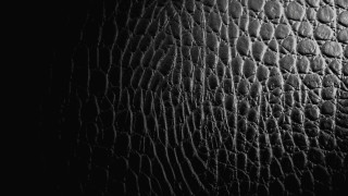 Leather texture circles dots bathroom - texture free wallpaper