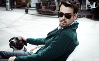 Man dog sunglasses green sweater 2 - a green sweater free wallpaper