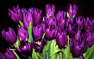 Purple flowers vase table art - the center free wallpaper