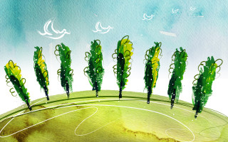 Soccer field trees birds environmental - tree and birds free wallpaper